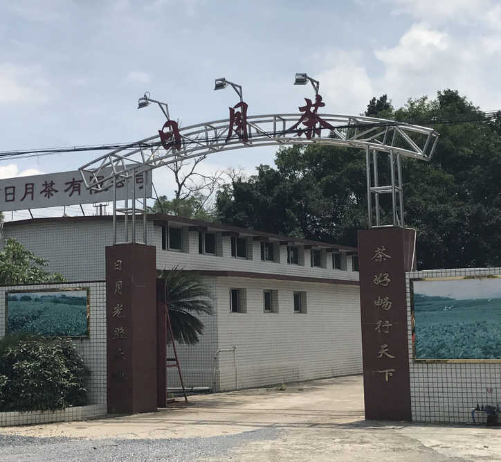 日月茶定制SA-980定制食品金屬檢測機