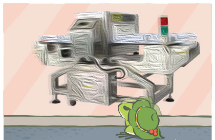 今天你養蛙兒了么？